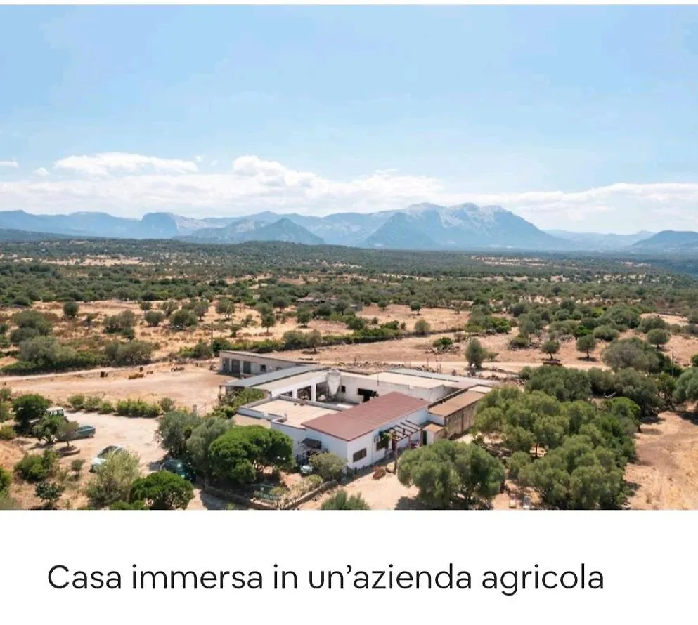Villa Su Saucu à Dorgali