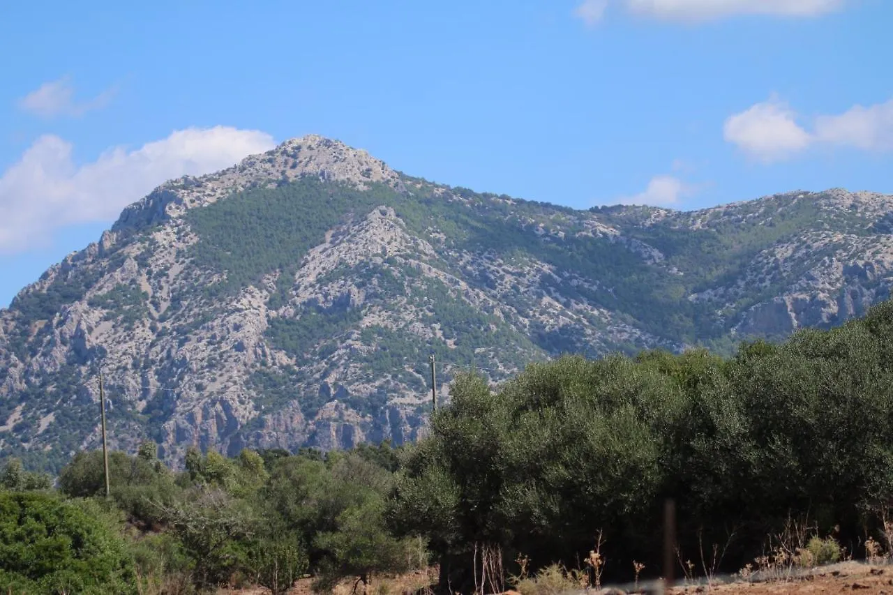 Villa Su Saucu à Dorgali Hébergement de vacances