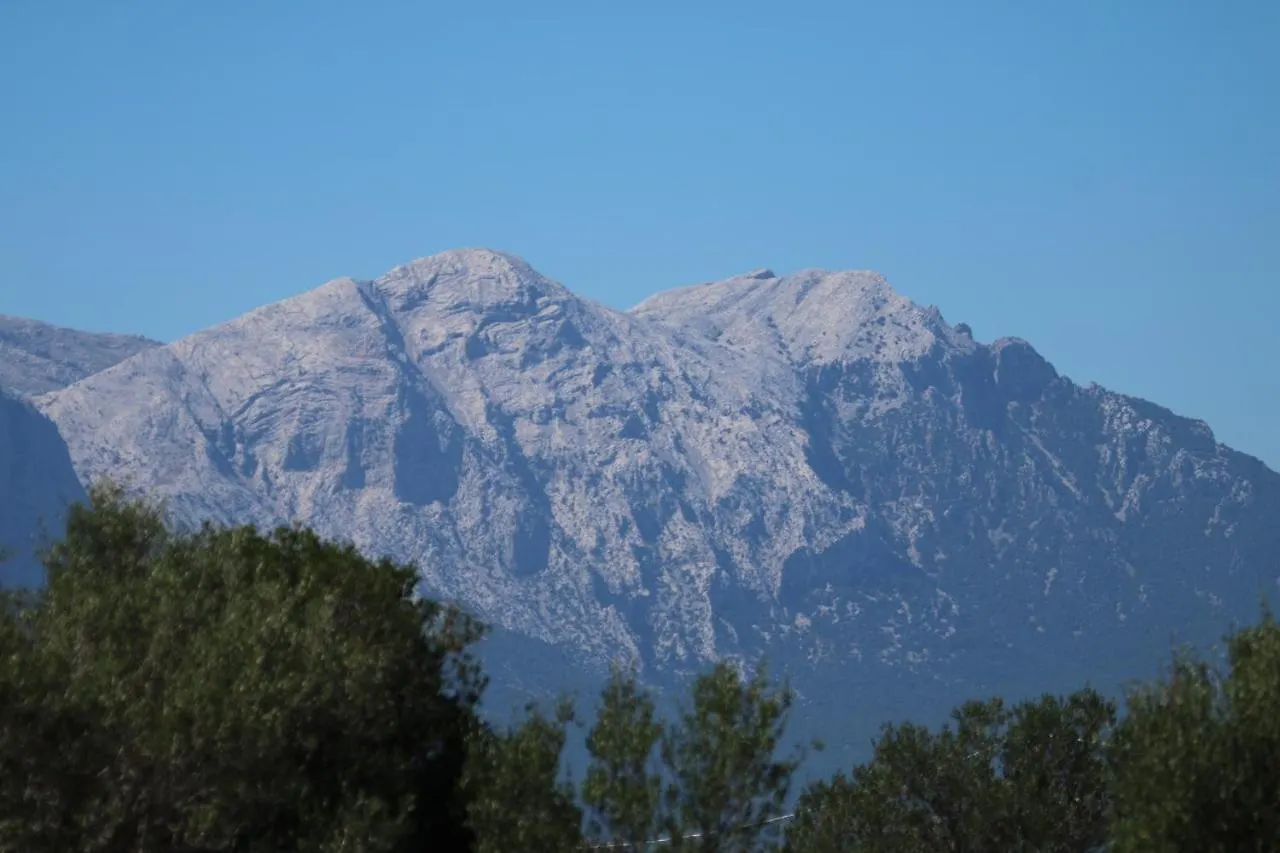 Su Saucu Holiday home Galtelli Dorgali